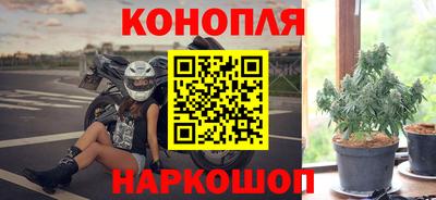 сатива Усть-Джегута