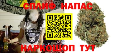 сатива Усть-Джегута
