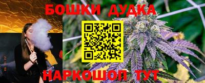 сатива Усть-Джегута