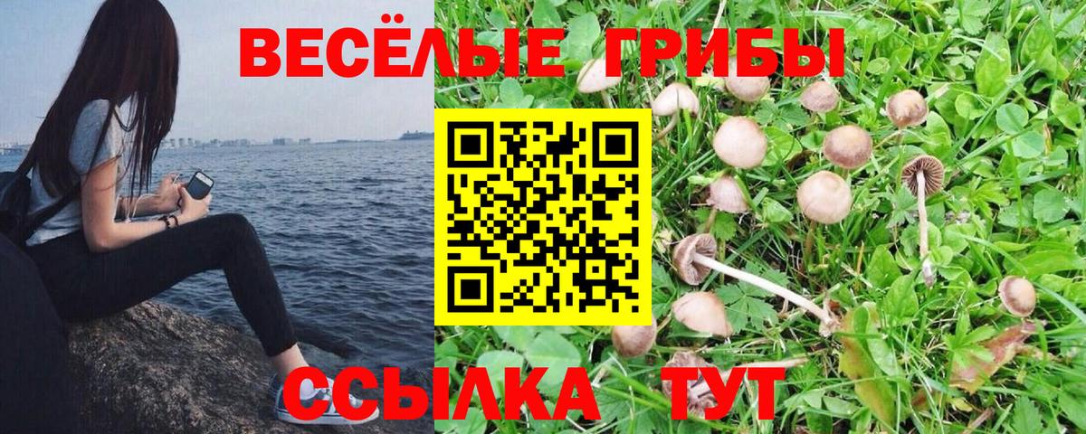 Псилоцибиновые грибы MAGIC MUSHROOMS  Вход с VPN  Ачхой-Мартан  Галлюциногенные грибы мицелий 